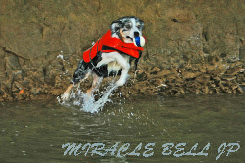 20120813_3.jpg