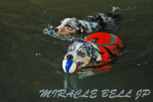 20120813_4.jpg