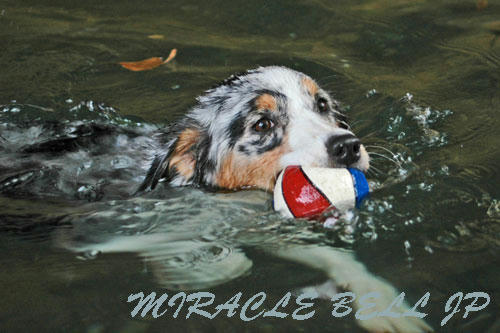 20120813_5.jpg