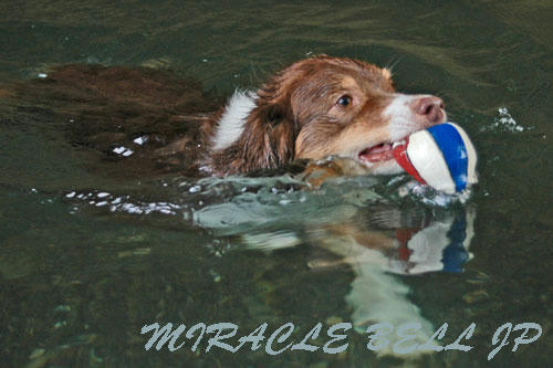 20120813_6.jpg