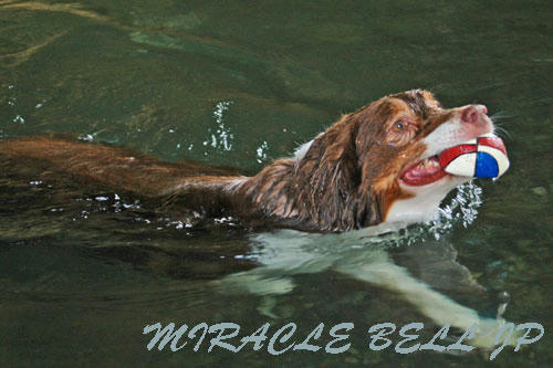 20120813_7.jpg