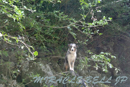 20120902_1.jpg