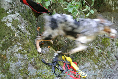 20120902_2.jpg
