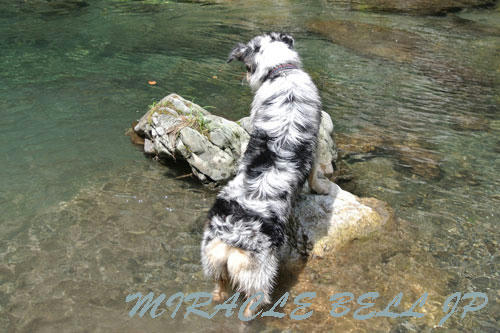 20120902_3.jpg