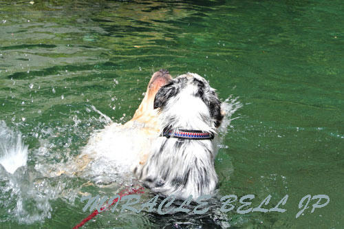 20120902_4.jpg