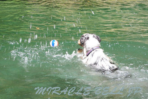 20120902_6.jpg