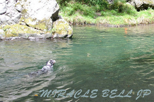 20120902_7.jpg