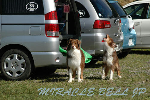 20120908_1.jpg