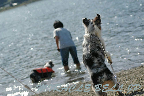 20120908_3.jpg