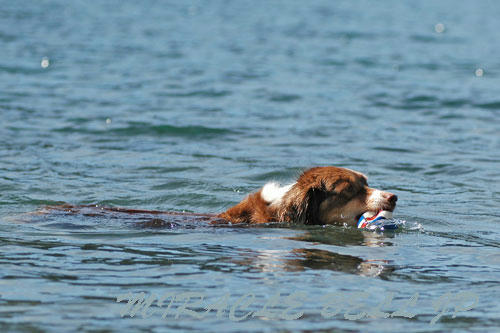 20120908_4.jpg