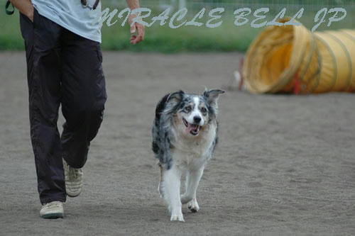 20120916_4.jpg