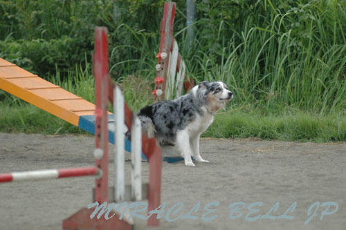 20120916_6.jpg