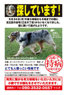 toranosuke_web_3.jpg