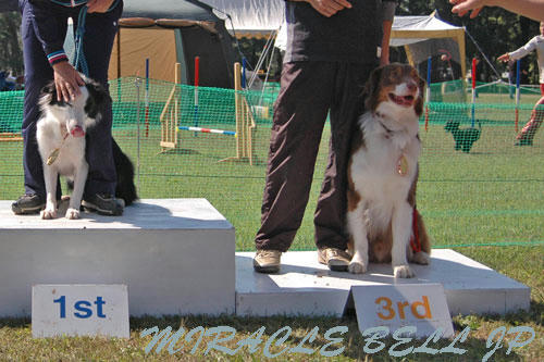 20121021_5.jpg