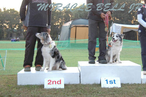 20121021_7.jpg