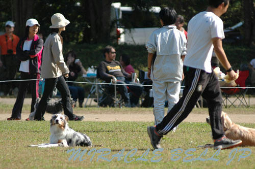 20121021_2.jpg