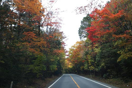20121103_1.jpg