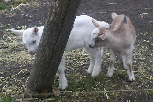 20121103_4.jpg