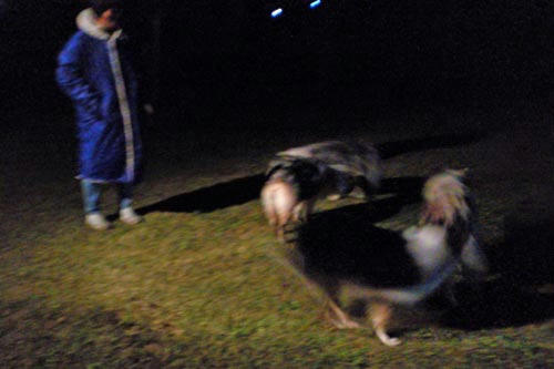 20121103_3.jpg
