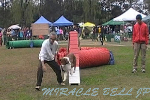 20121111-1.jpg