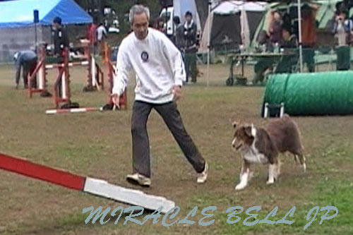 20121111-2.jpg