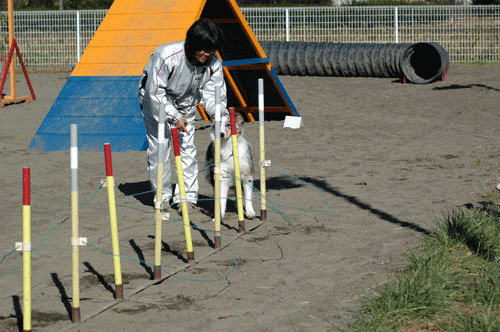20121125_1.gif