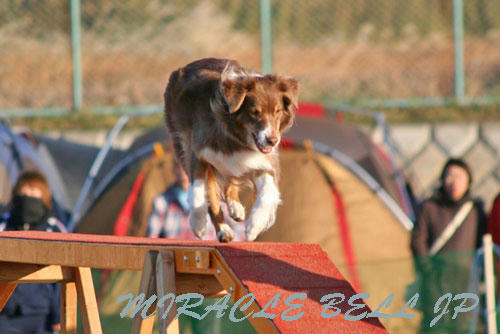 20121201_1.jpg