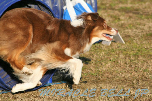 20121201_2.jpg