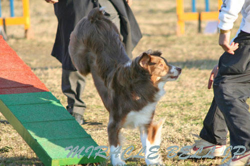 20121201_3.jpg