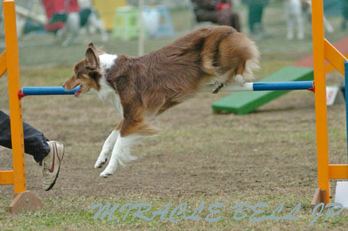 20121202_3.jpg