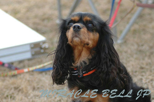 20121224_5.jpg