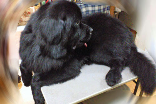 20130105_1.jpg