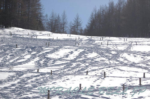 20130112_4.jpg