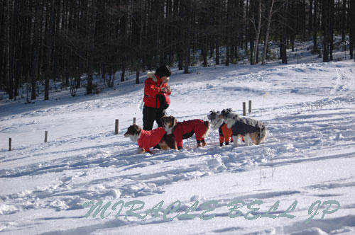20130112_5.jpg