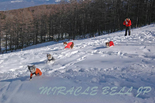 20130112_6.jpg
