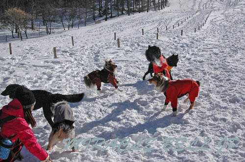 20130112_11.jpg