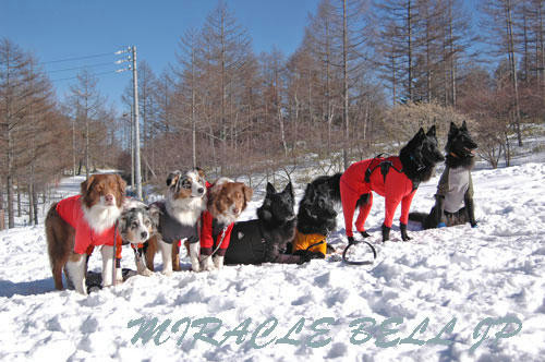 20130112_13.jpg