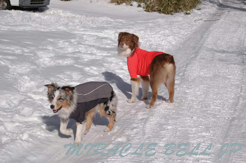 20130112_15.jpg