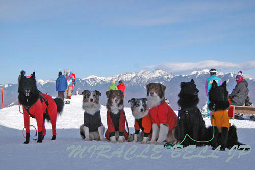 20130112_17.jpg