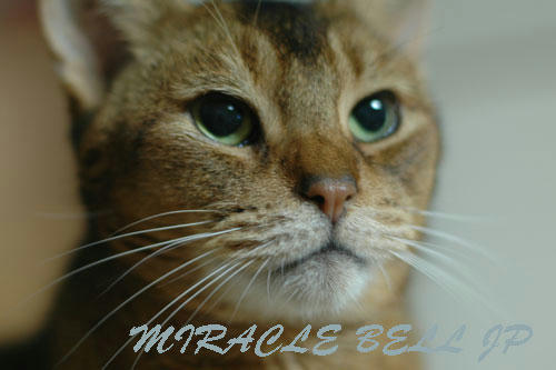 20130126_3.jpg