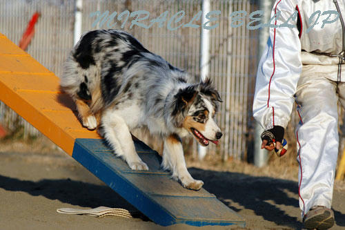20130211_4.jpg