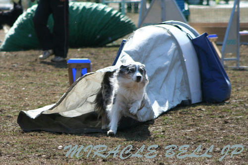 20130217_1.jpg