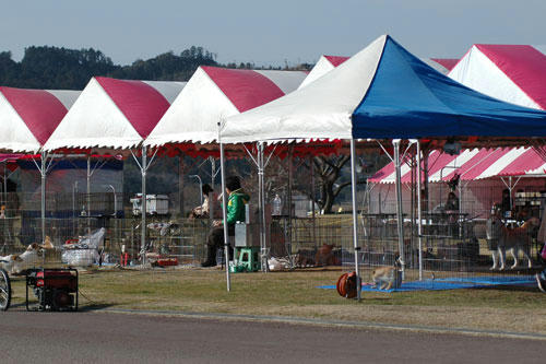 20130302_1.jpg