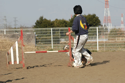20130316_1.gif