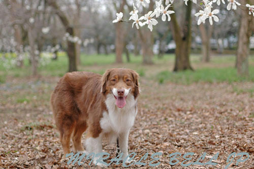 20130320_10.jpg