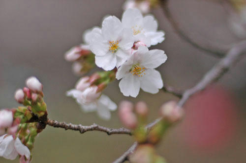 20130320_11.jpg