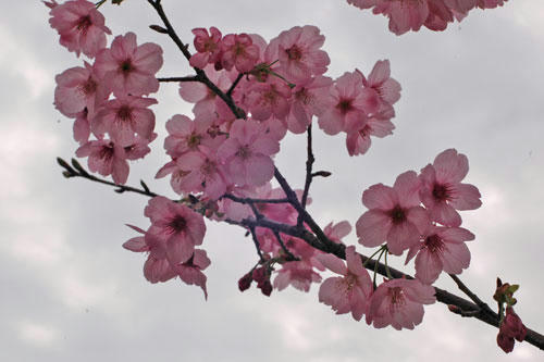 20130320_12.jpg