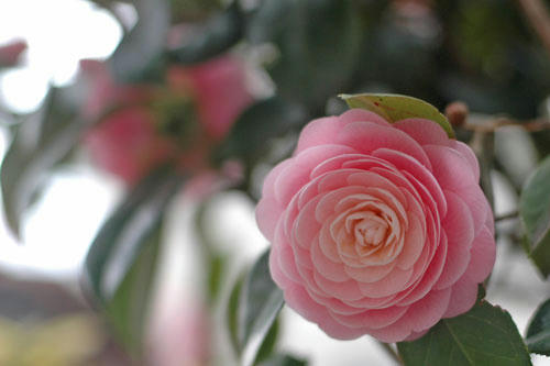 20130320_13.jpg