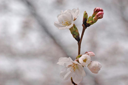 20130320_14.jpg