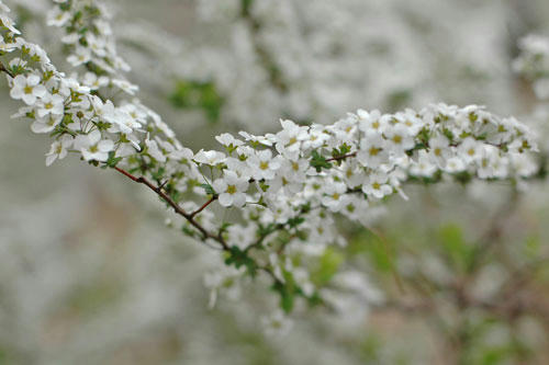 20130320_15.jpg
